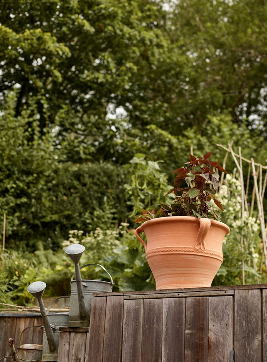 Athena Terracotta Pot