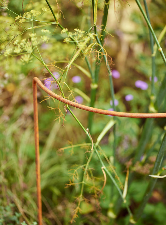 Rusted Garden Border Support, Set of Five