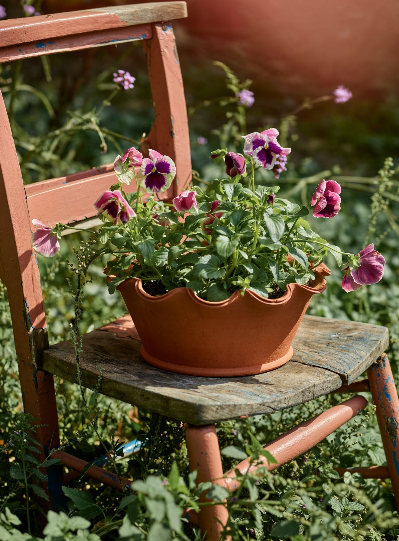 Eden Terracotta Pot, Low