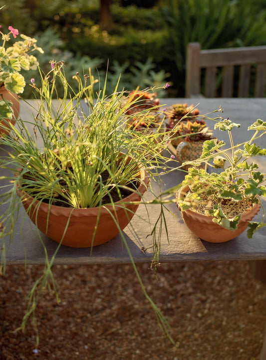 Agni Terracotta Bowl, Large