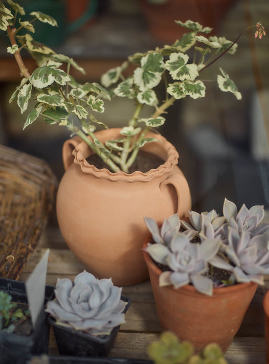 Etta Terracotta Pot, Large