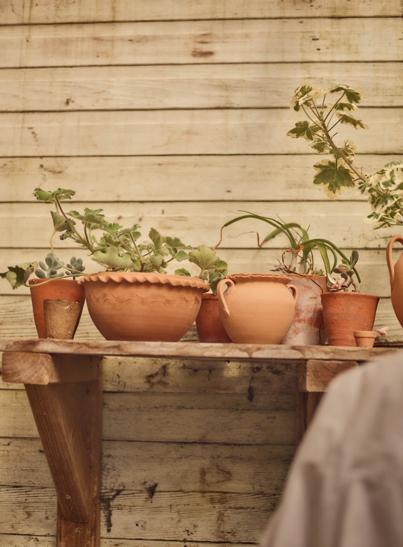 Agni Terracotta Bowl, Small