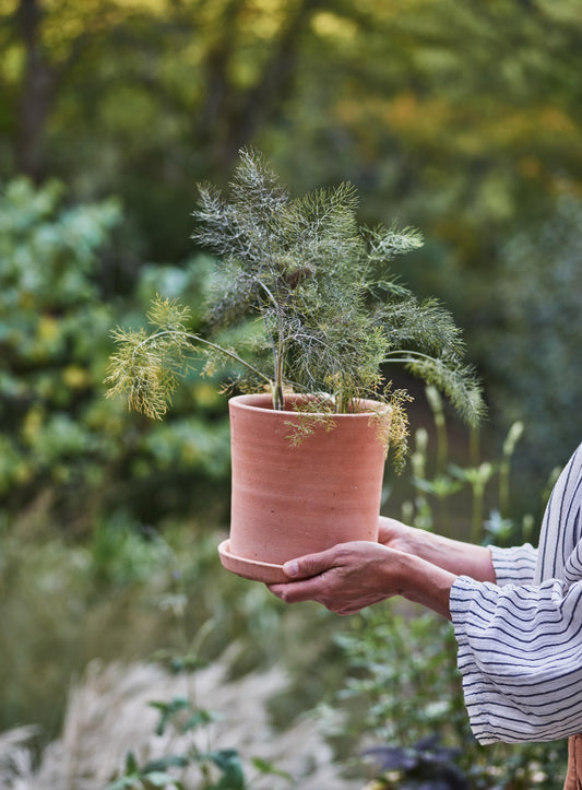 Minos Terracotta Pots, Set of Three