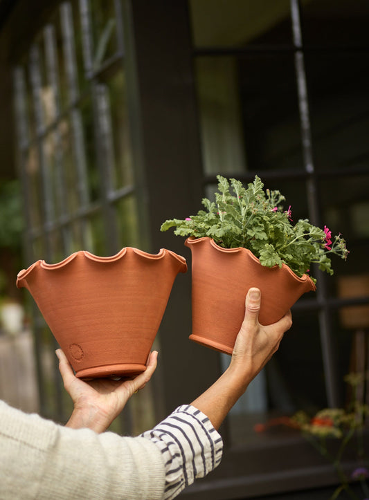 Eden Terracotta Pot