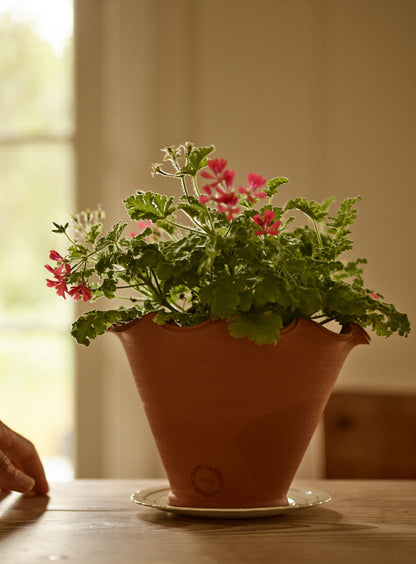 Eden Terracotta Pot