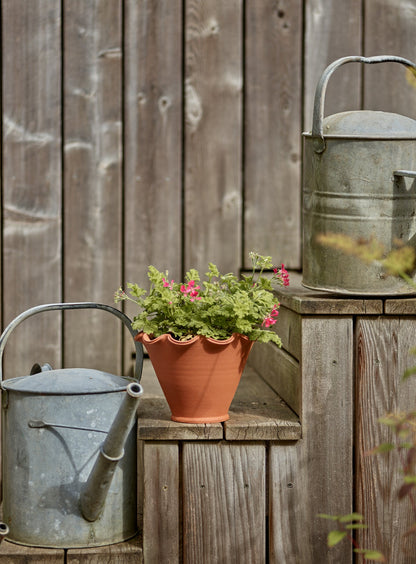 Eden Terracotta Pot