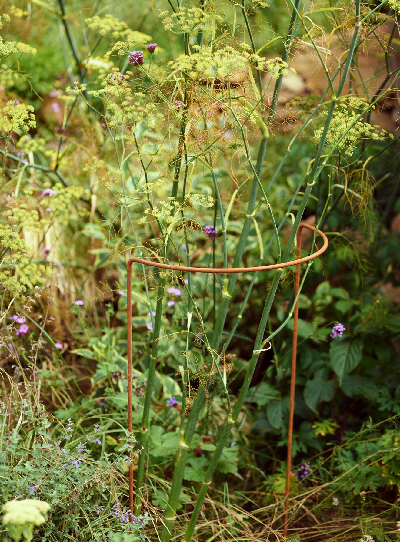 Rusted Garden Border Support, Set of Five