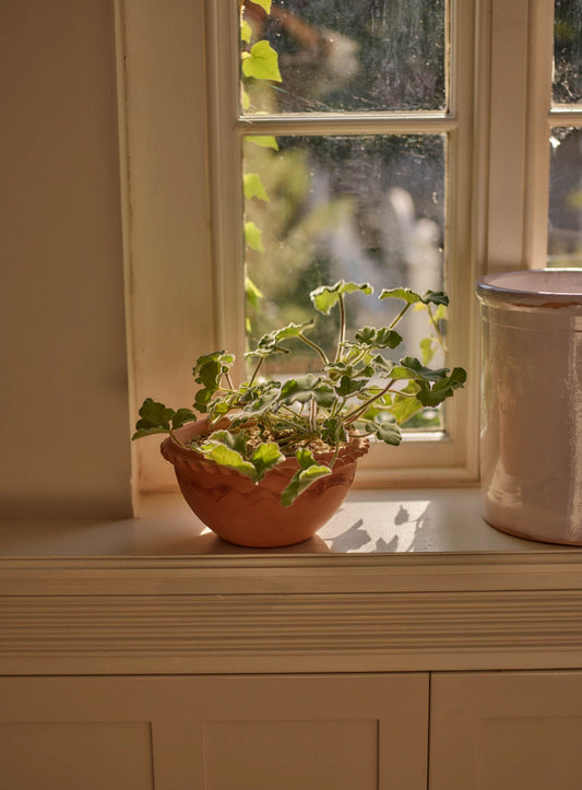Agni Terracotta Bowl, Small