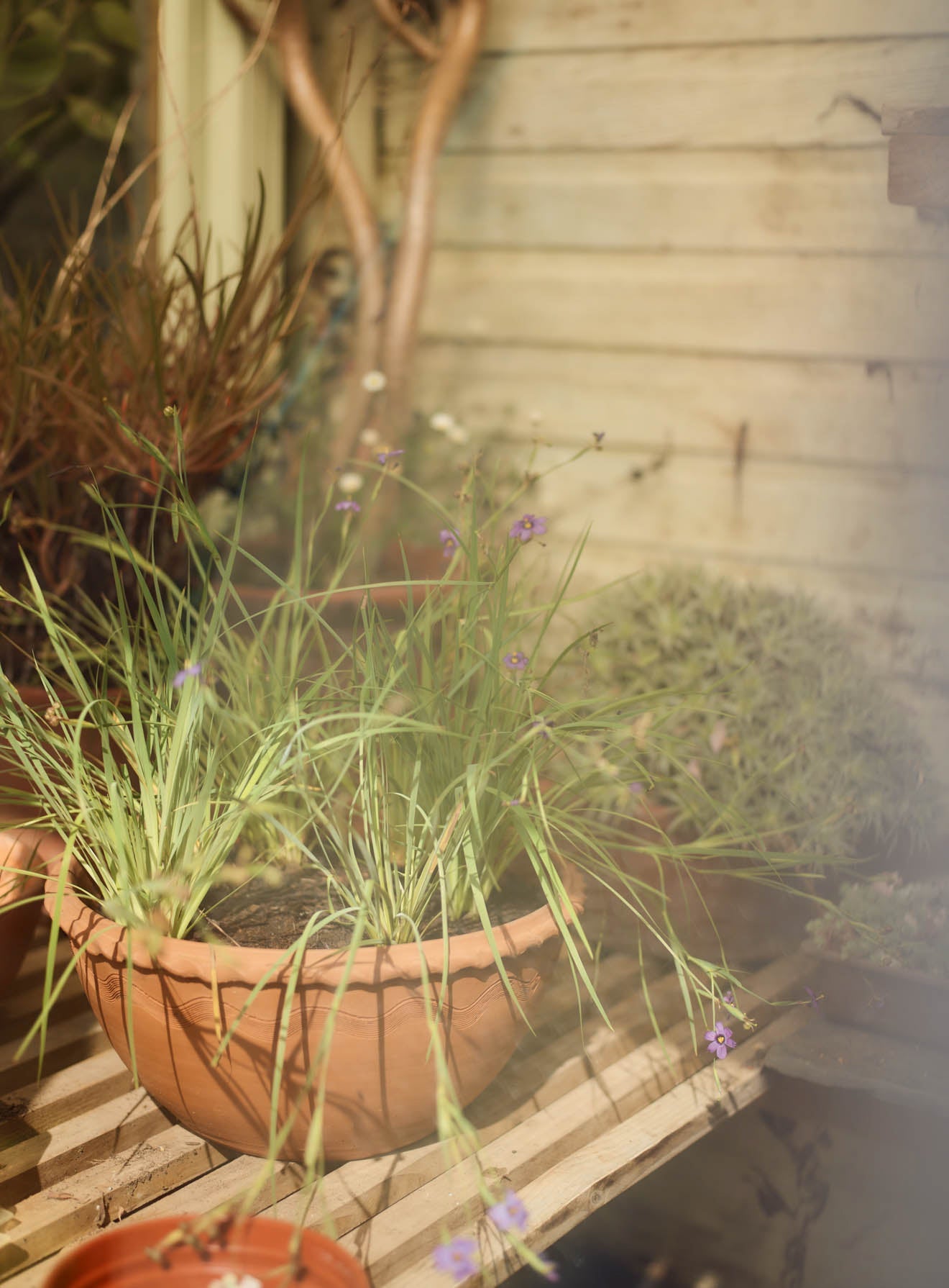 Agni Terracotta Bowl, Large