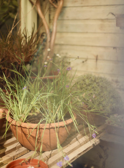 Agni Terracotta Bowl, Large