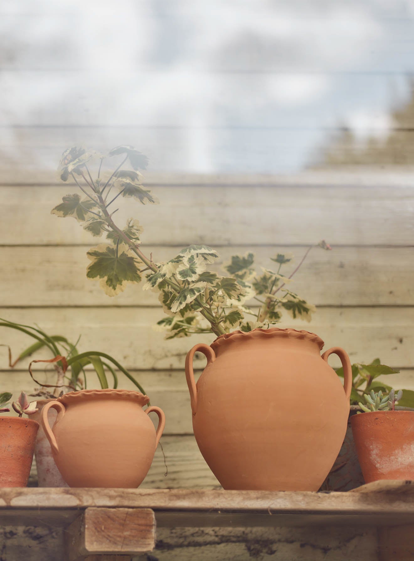 Etta Terracotta Pot, Large