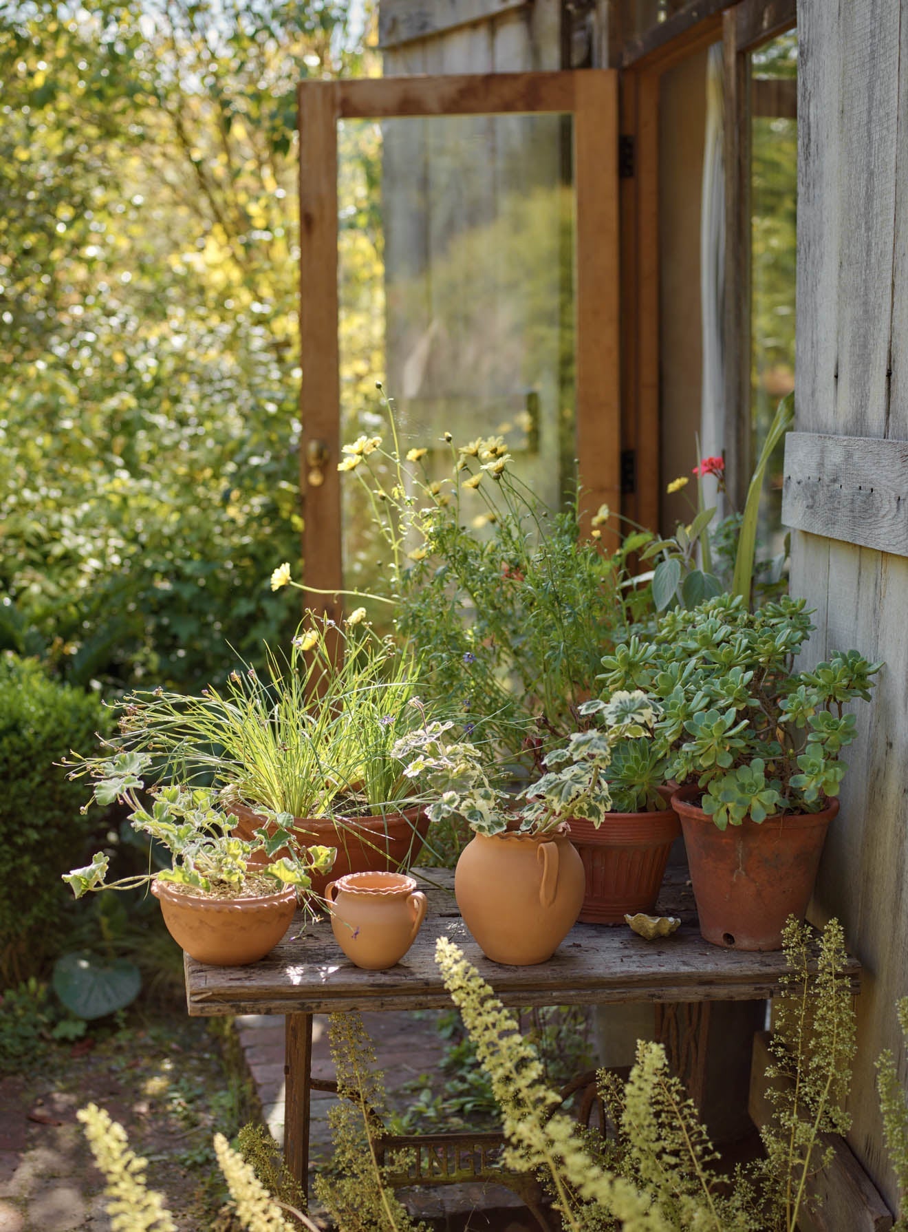 Etta Terracotta Pot, Small