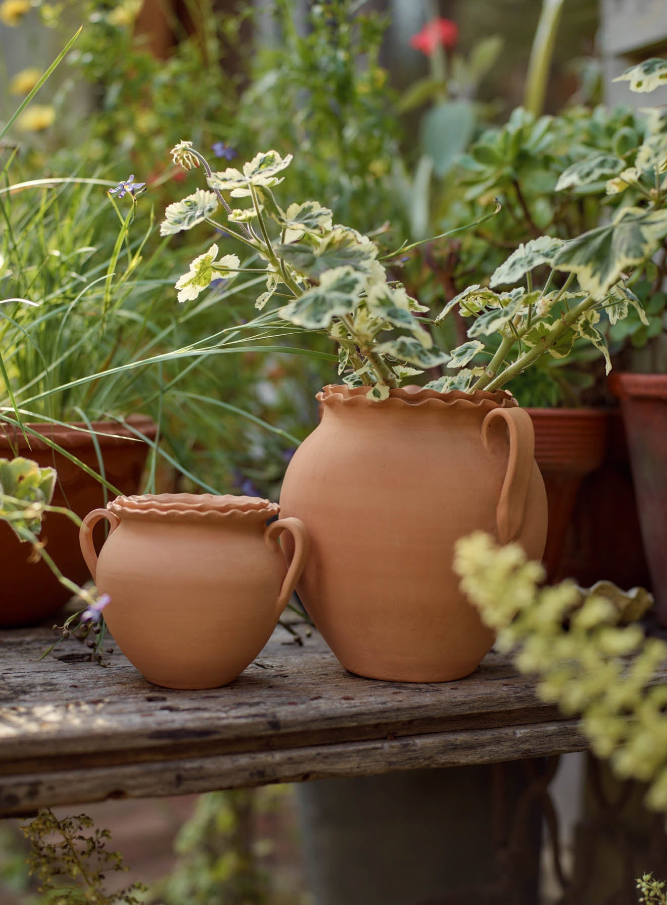 Etta Terracotta Pot, Small
