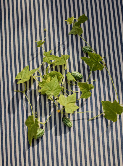 Sudbury Garden Furniture Cushion, Navy Pinstripe