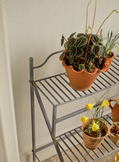 Burnell Tiered Plant Stand