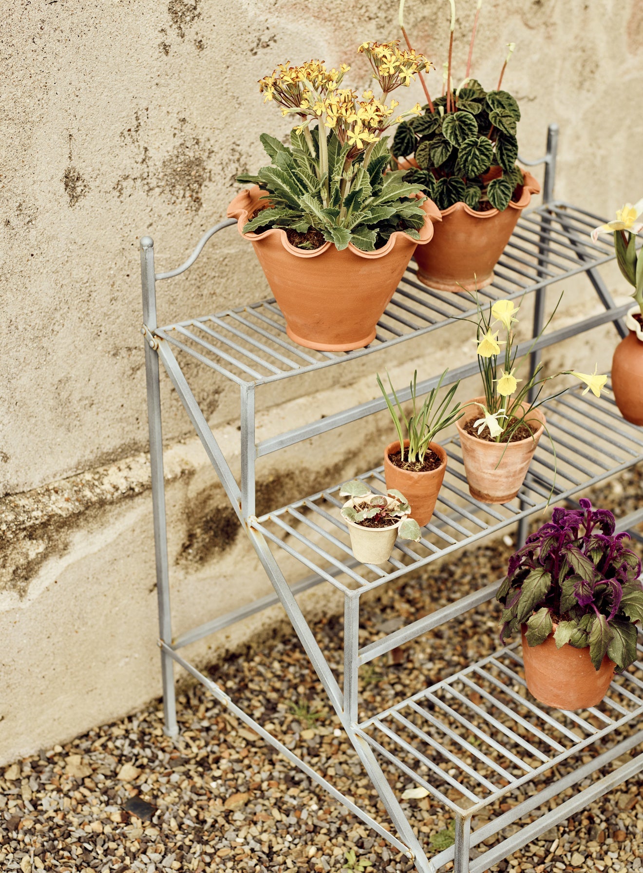 Burnell Tiered Plant Stand