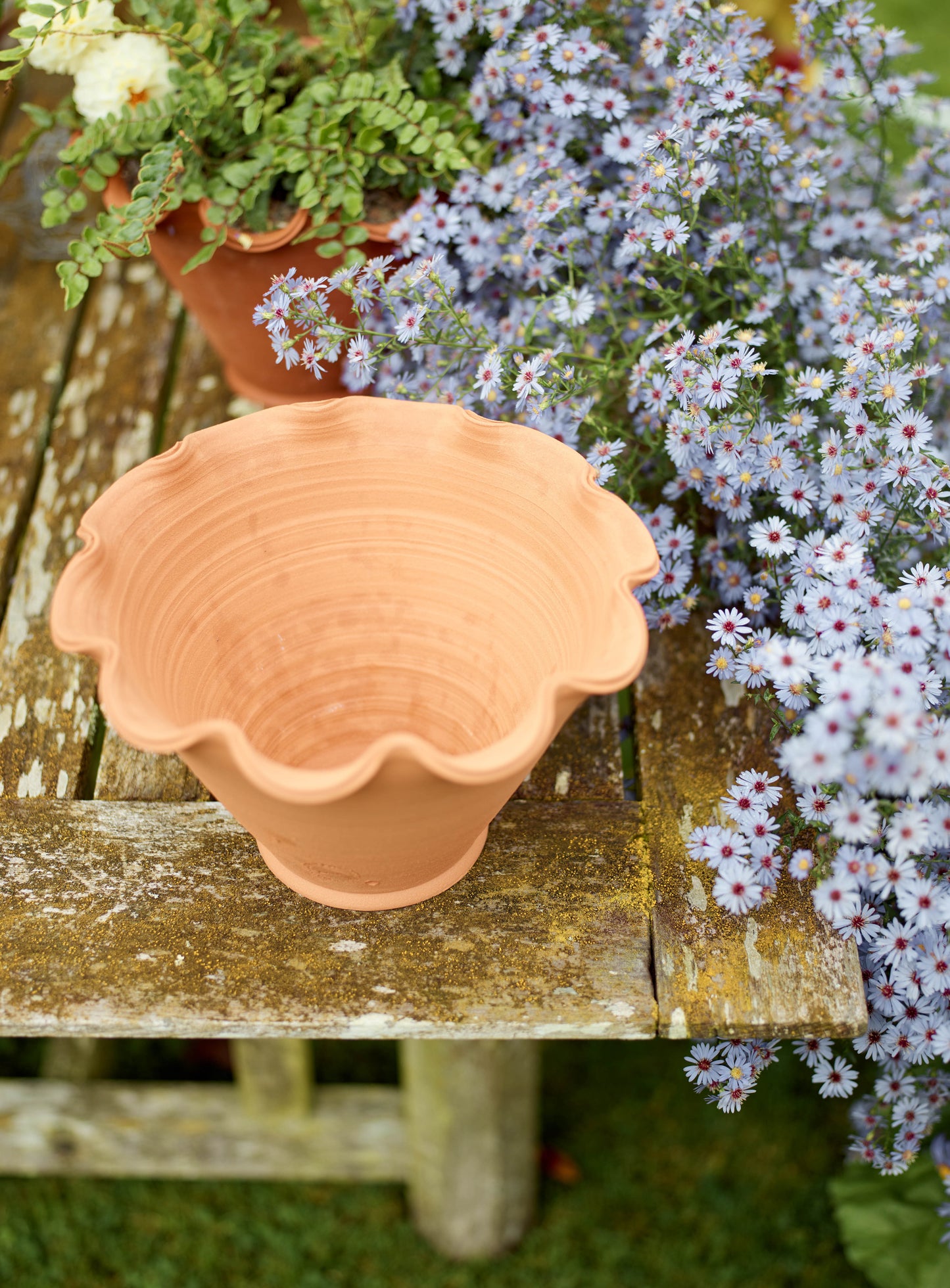 Eden Terracotta Pot