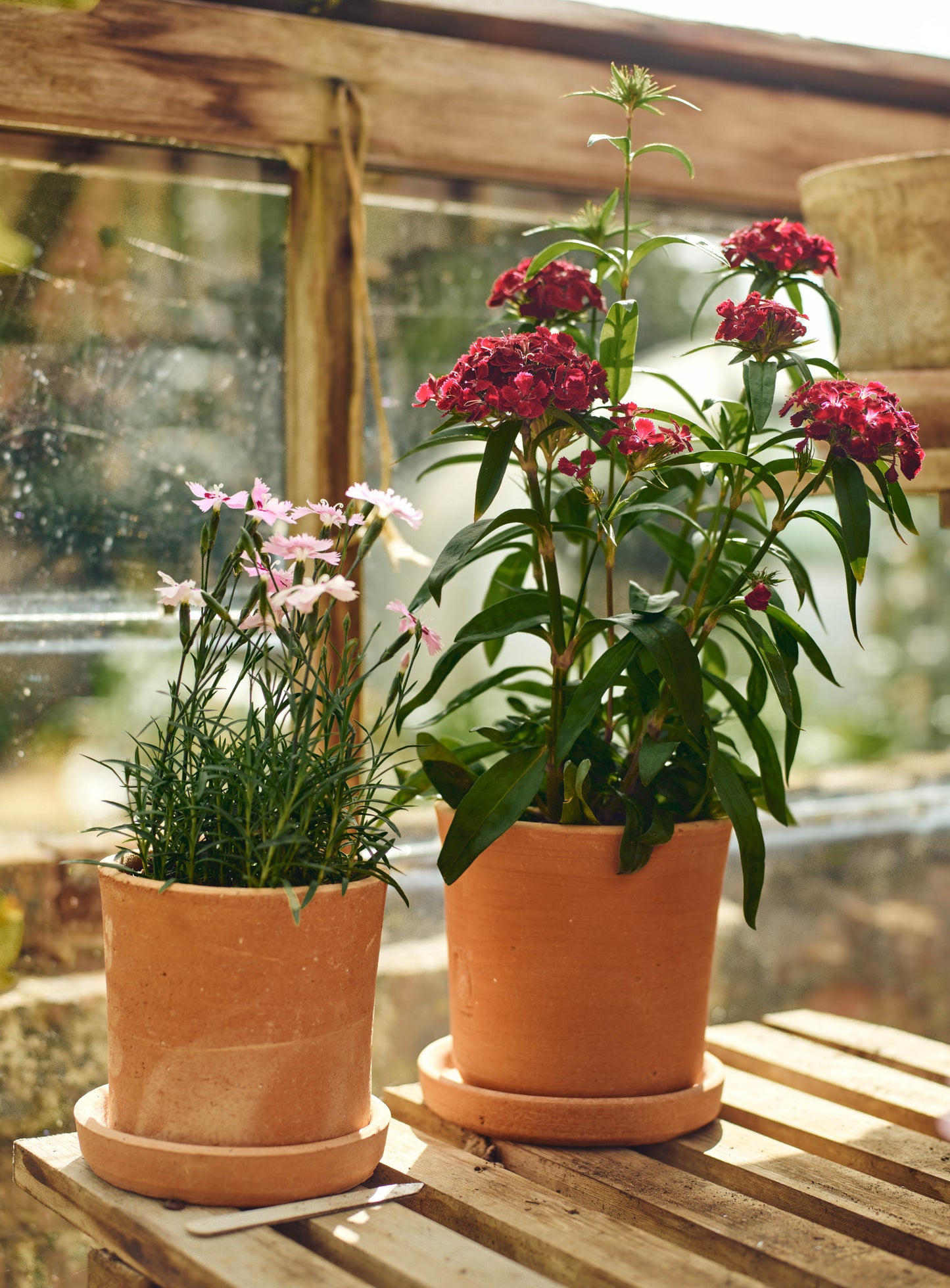 Minos Terracotta Pots, Set of Three