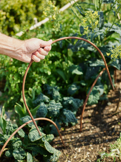 Rusted Garden Border Hoops