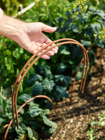 Rusted Garden Border Hoops