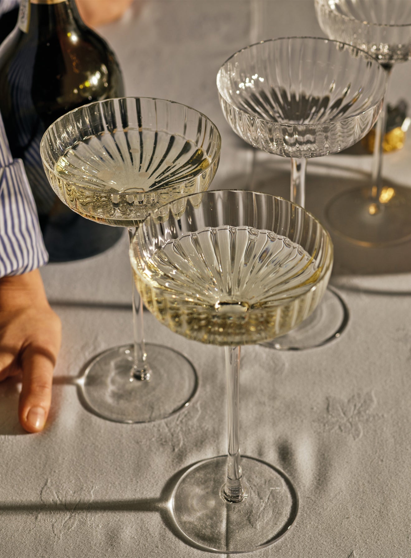 Isla Fluted Champagne Coupe, Set of Two