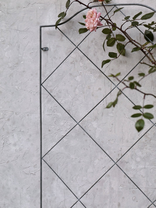 Marlow Trellis