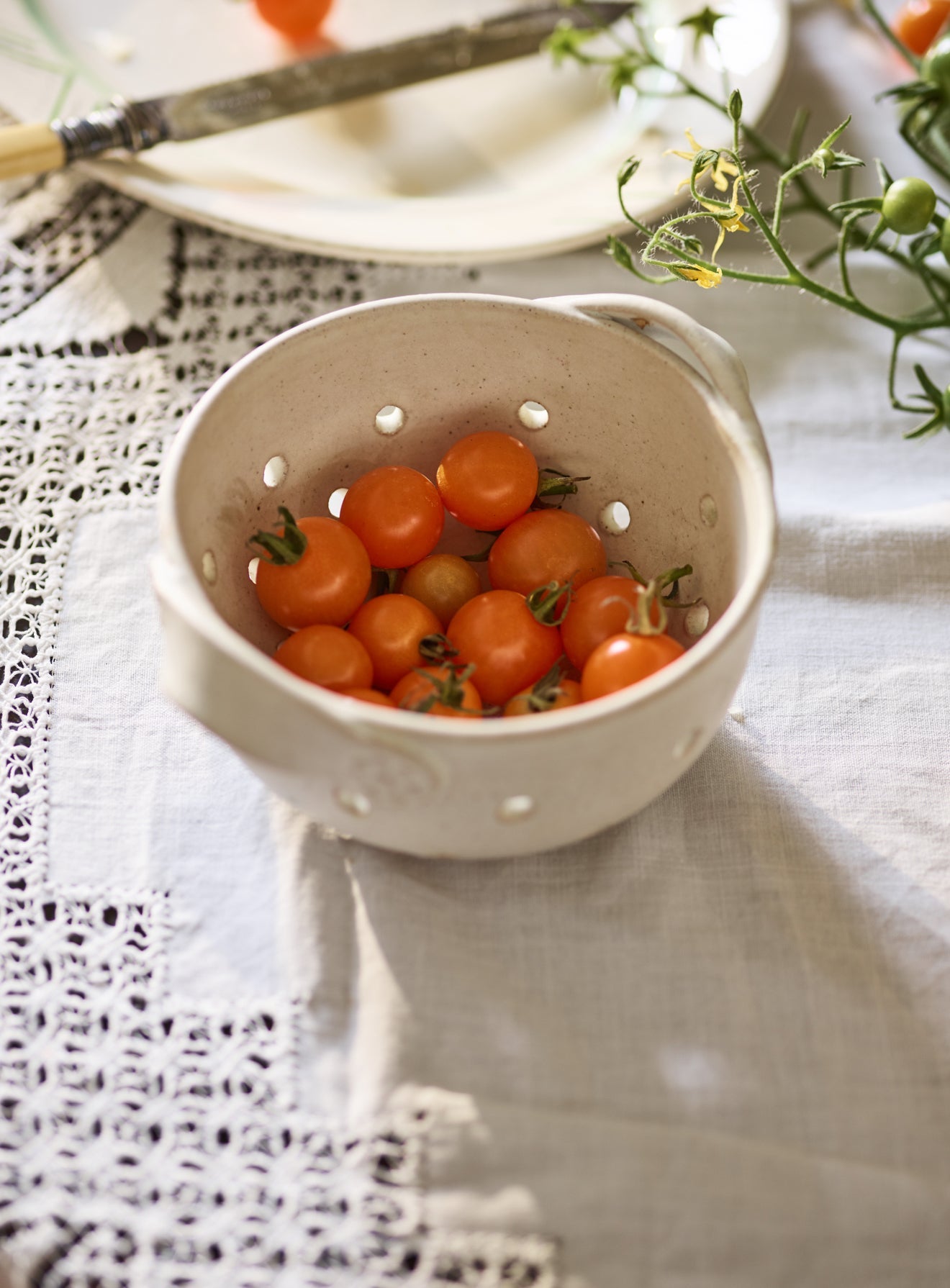 Stoneware Berry Colander