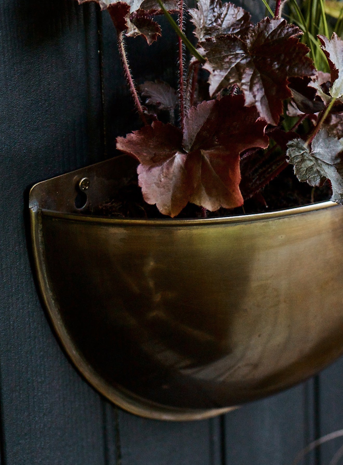 Sola Brass Wall Planter