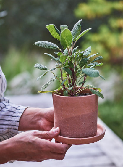 Minos Terracotta Pots, Set of Three