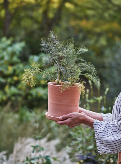 Minos Terracotta Pots, Set of Three