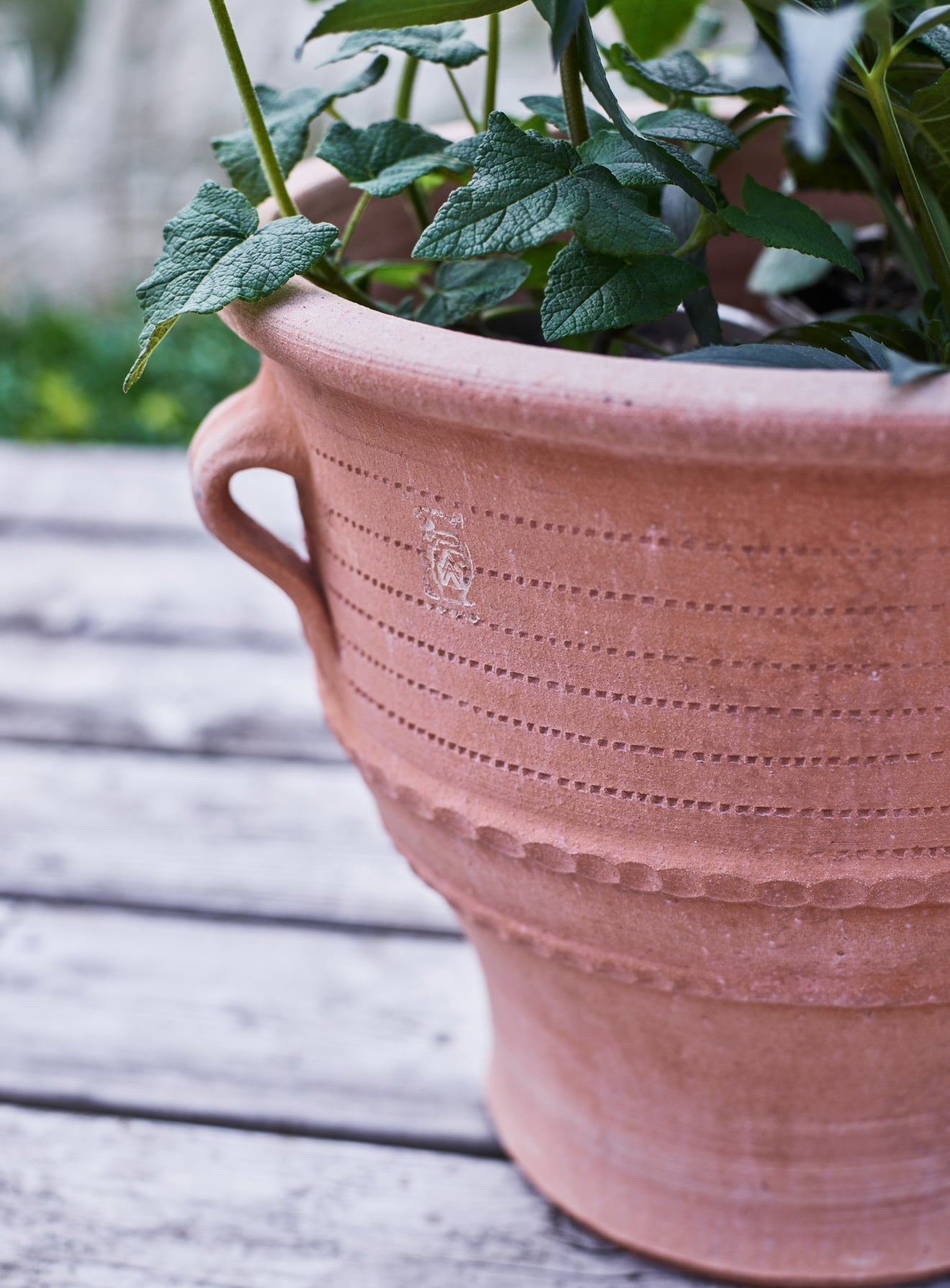 Thrapsano Terracotta Pot, Medium